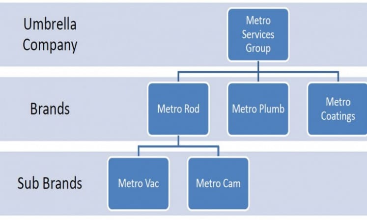 New Company Structure