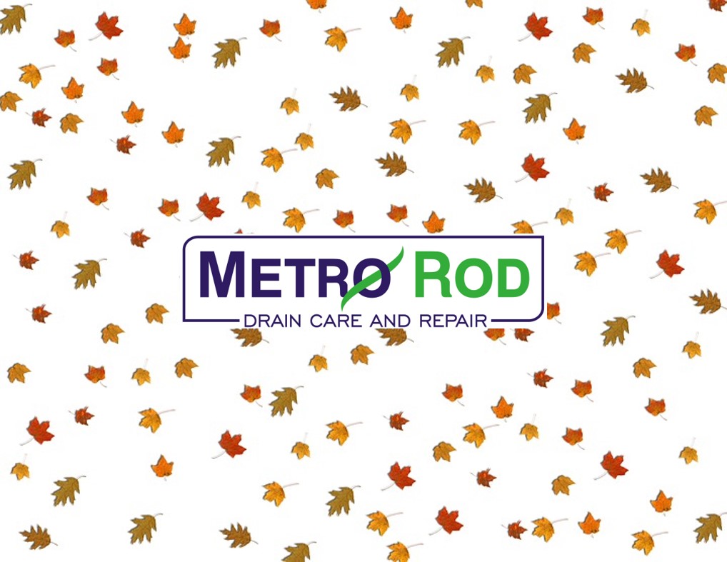 THINGS YOU NEED TO DO TO PREPARE FOR AUTUMN – METRO ROD NORTHAMPTON