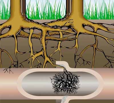 A Guide To No-dig Drain Repairs – Metro Rod York