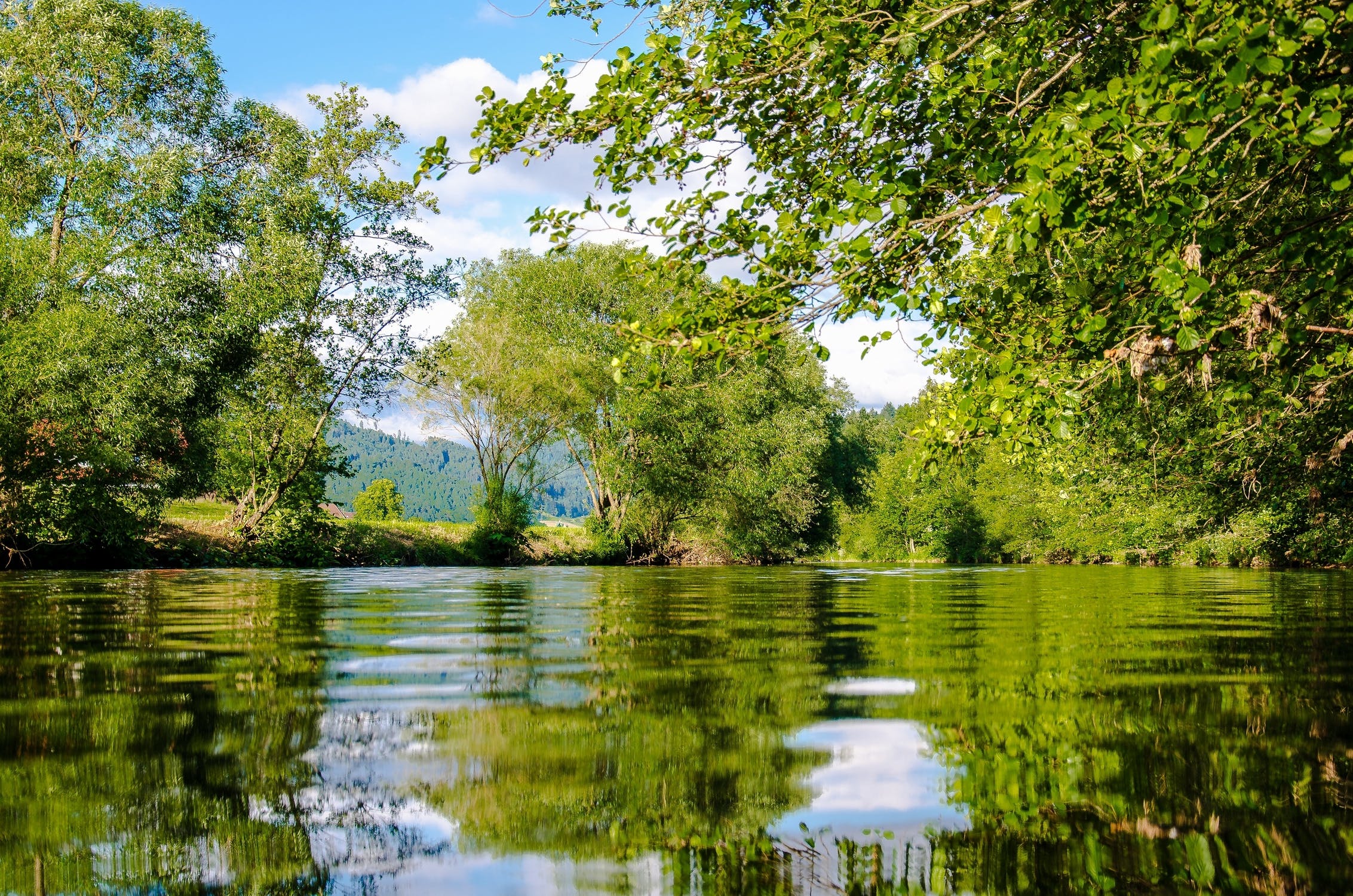 Will Your Septic Tank Be Banned From Next Year?